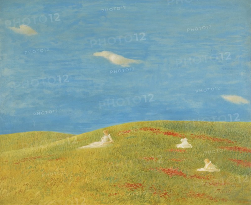 Meadow.