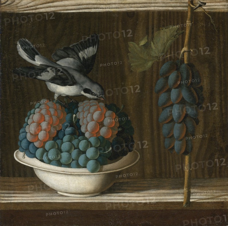 Still Life with Grapes and a gray shrike (Allegory of Painting).