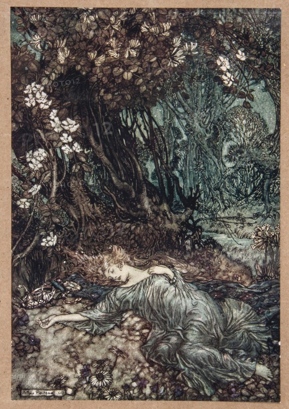 Midsummer Night's Fairies.