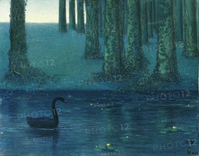 The black swan.