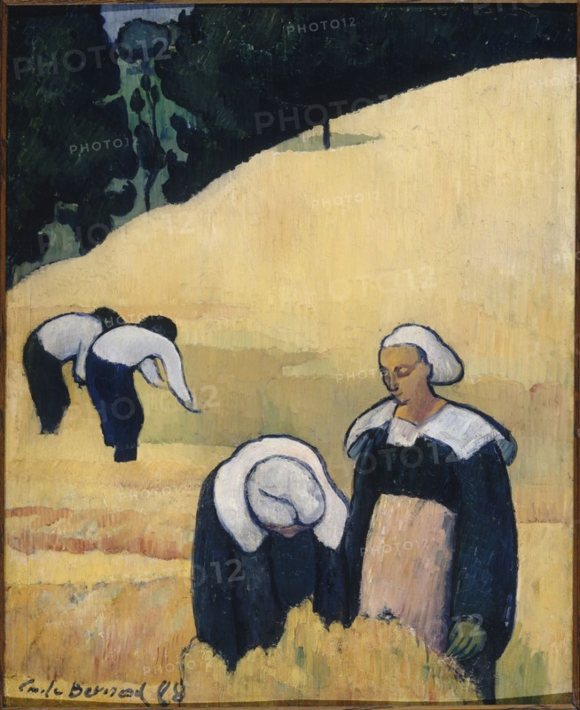 The Harvest.