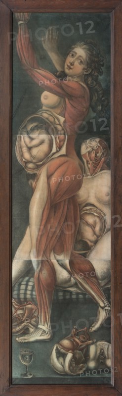 Two pregnant women.