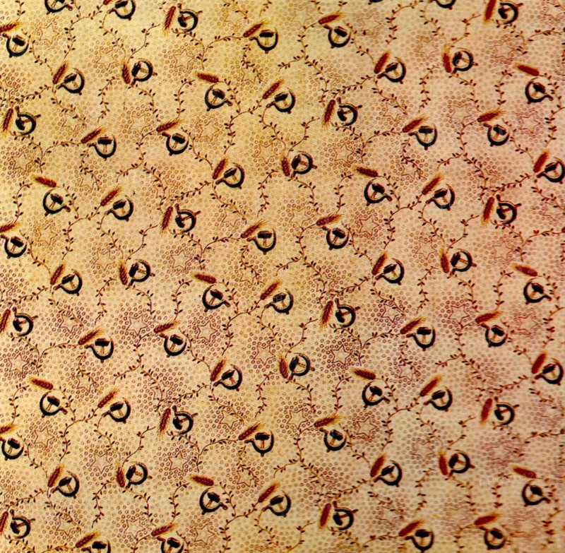 Cotton Print.