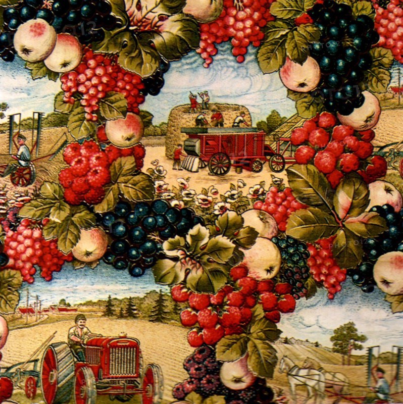 Tractor.