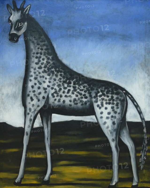 Giraffe.