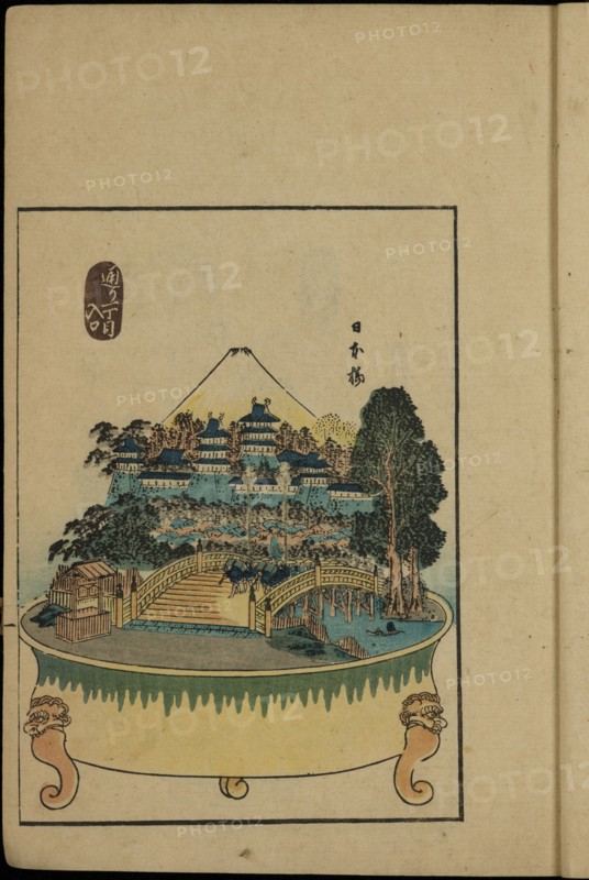 From the Series 53 Stations of the Tokaido as Bonsai.