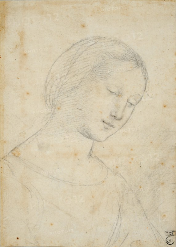 Study of a Woman.