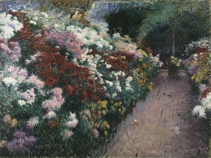 Chrysanthemums, 1888.