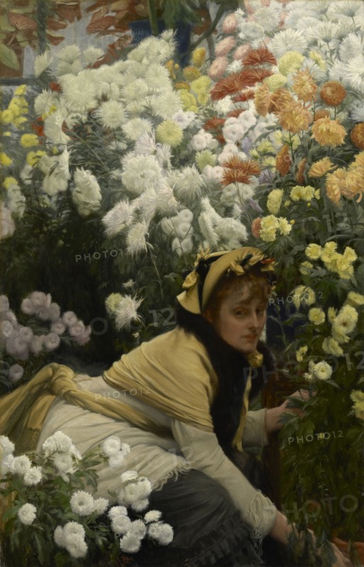 Chrysanthemums, c. 1875.