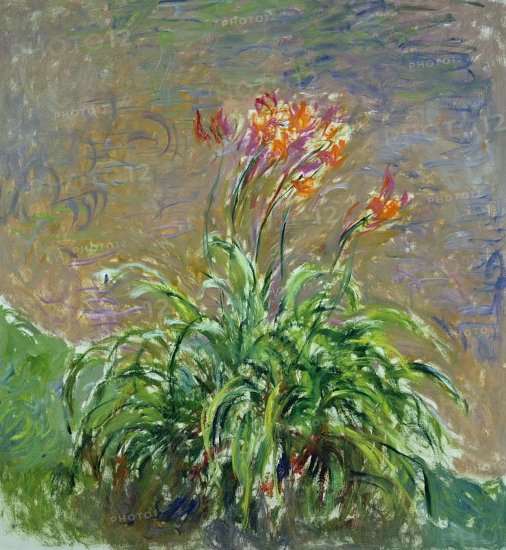 Daylilies (Les Hémérocalles), 1914-1917.