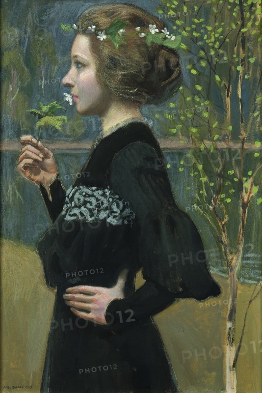 Gallen-Kallela, Spring