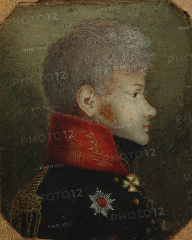 Count Mikhail Petrovich Dolgorukov (1780-1805), 1808-1809.