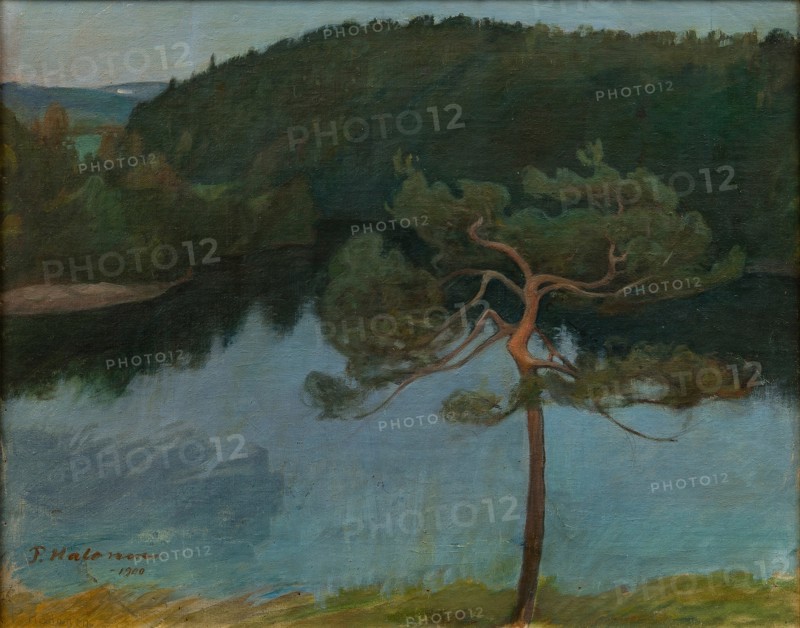 Pine tree by the shore, 1900.