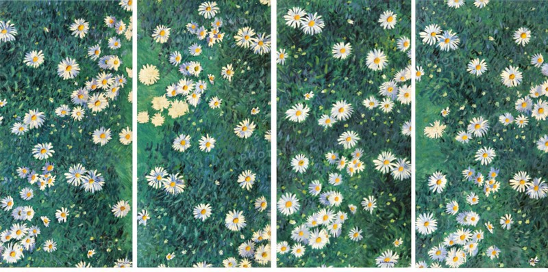Daisies (Bed of Daisies), c. 1892-1893.