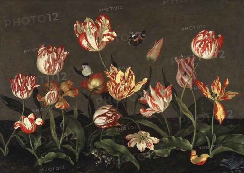 Still Life with Tulips.