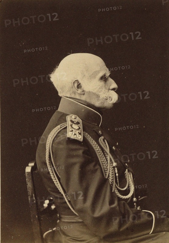 Portrait of Count Fyodor Petrovich Litke (1797-1882), 1874.