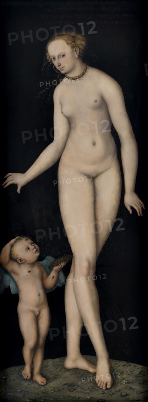 Venus with Cupid the Honey Thief, after 1537.