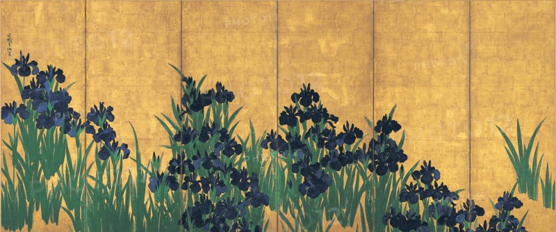 Irises, 18th century.