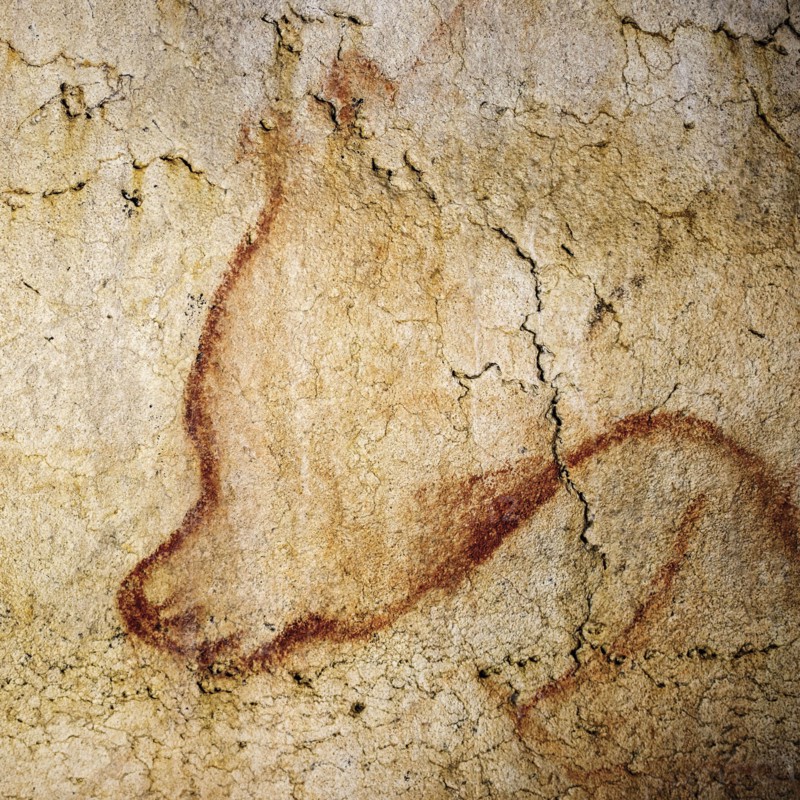 Painting in the Chauvet cave, 32,000-30,000 BC.