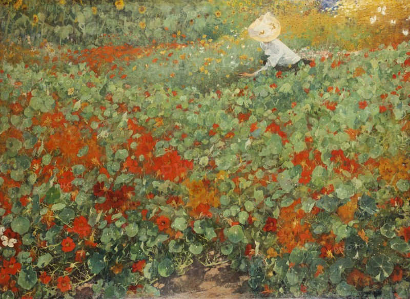 The garden, 1893.