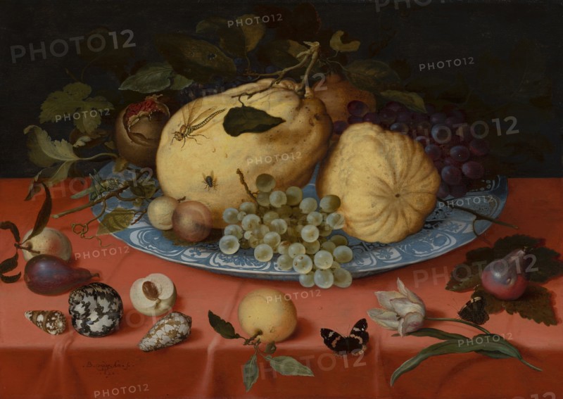 Fruit Still Life with Shells and Tulip, 1620.