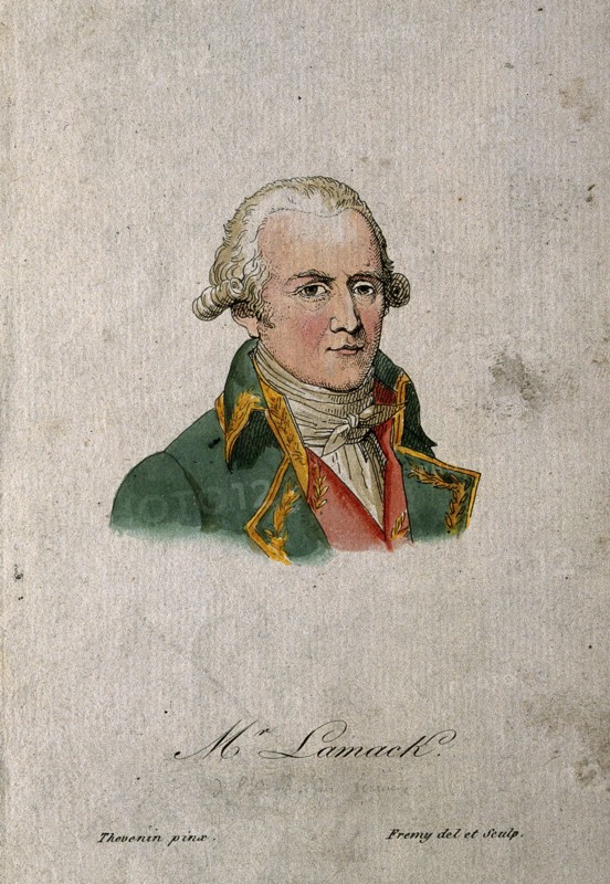 Jean-Baptiste Pierre Antoine de Monet, Chevalier de Lamarck (1744-1829), 1801.