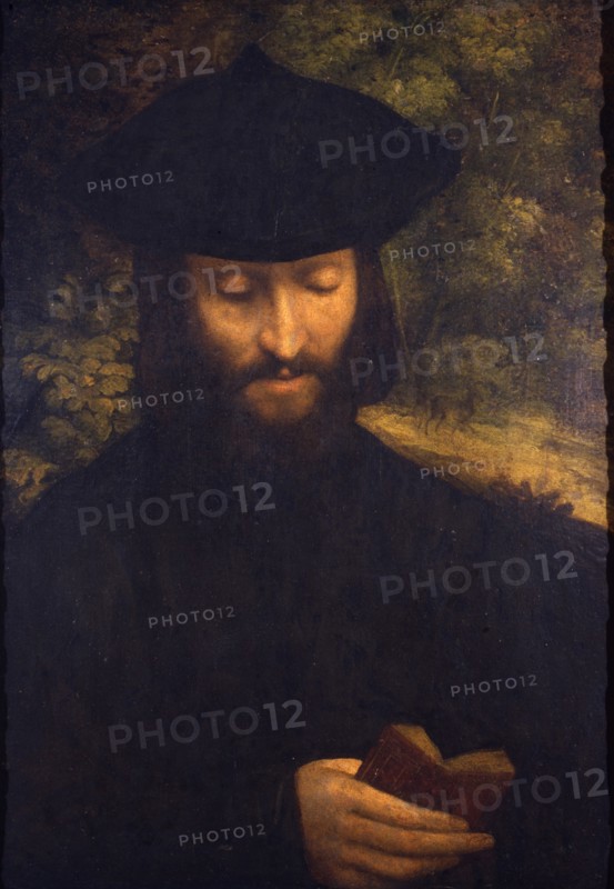 Portrait of a reading man, ca 1522.