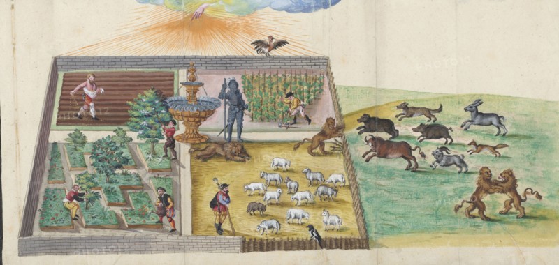 The breaking of the wild Lutheran beasts into the vineyard of the Lord. From Thesaurus picturarum,