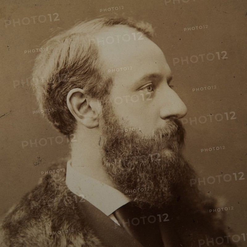 Portrait of Pierre-Jules Hetzel (1814-1886) , c. 1875.