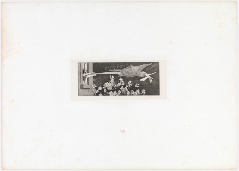Abduction. (Opus VI, Plate 9 from Paraphrase on the Finding of a Glove), 1881.