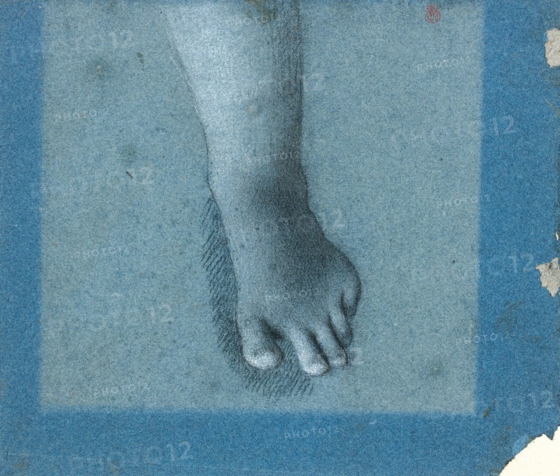 Foot study.