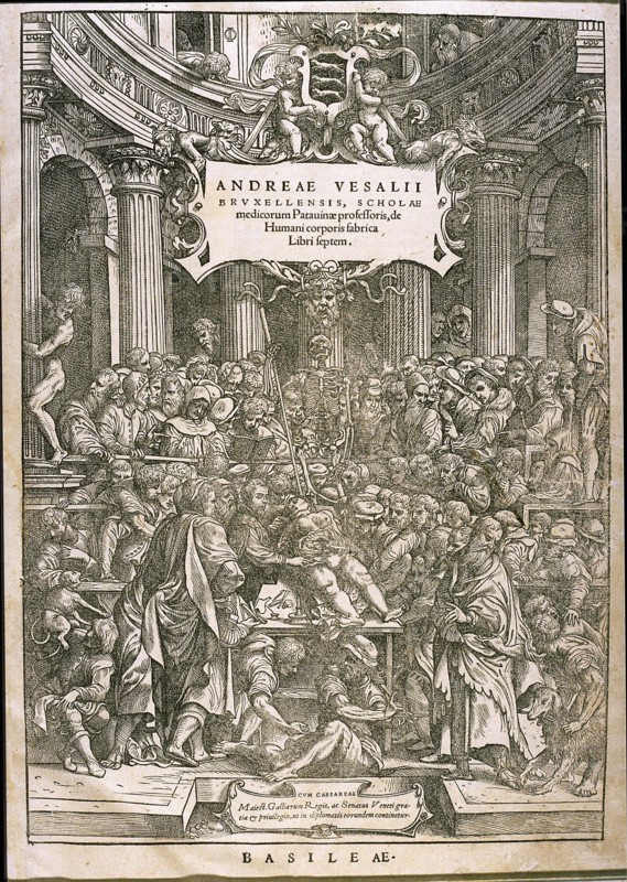 Title page from De humani corporis fabrica by Andreas Vesalius, ca 1543.