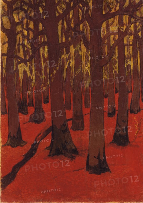 La Foret au sol rouge, 1891.