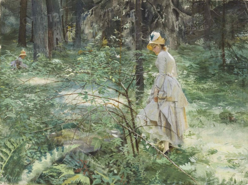 The Bush, 1886.