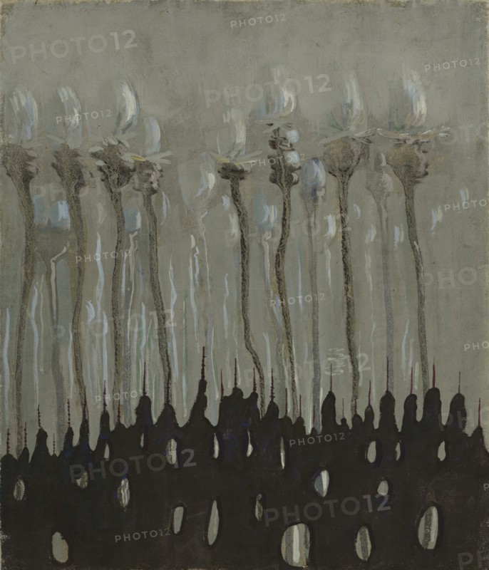 Flowers, 1906-1907.