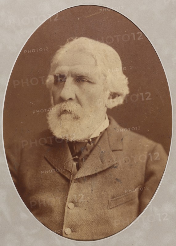 Portrait of the author Ivan Sergeyevich Turgenev (1818-1883), 1879.