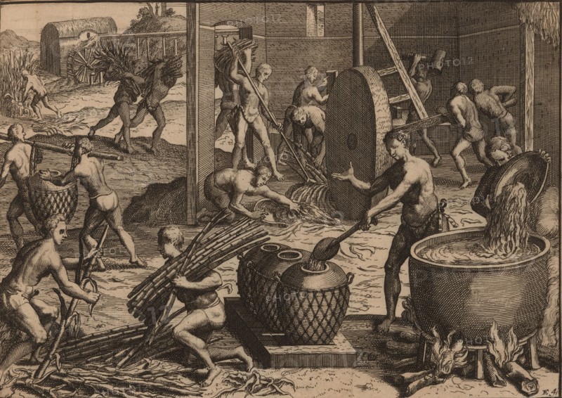 Slaves process sugar cane and make sugar. Creator: Aa, Pieter van der (1659-1733).