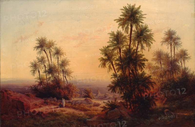 The Sphynx Avenue, 1867.