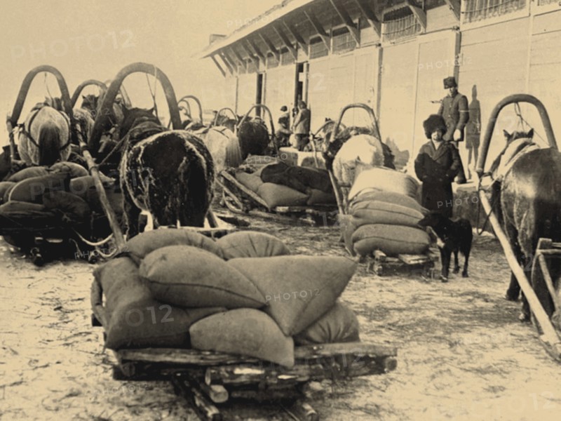 The food brigade (Prodotryad) in Siberia, 1920.