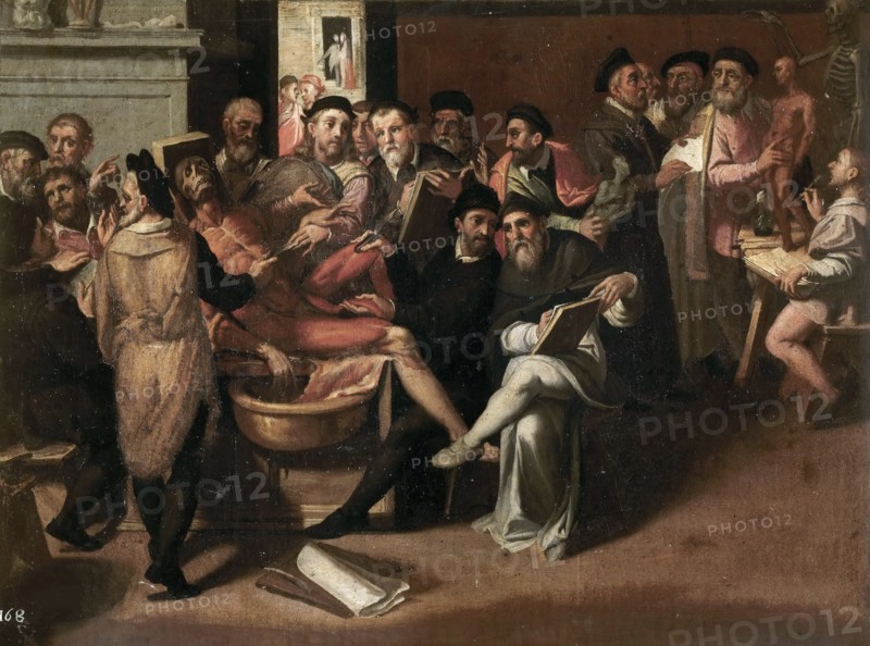 The Anatomy Lesson.