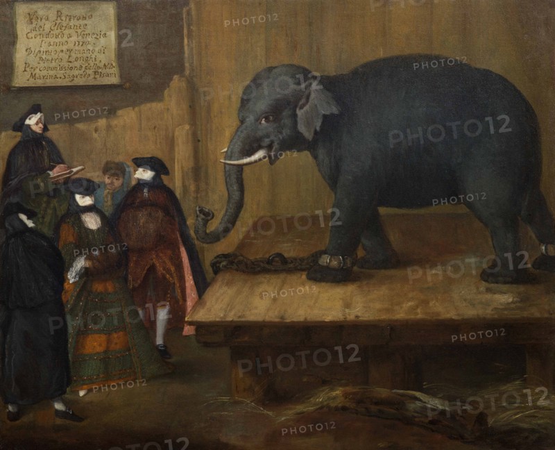 The Elephant, 1774.