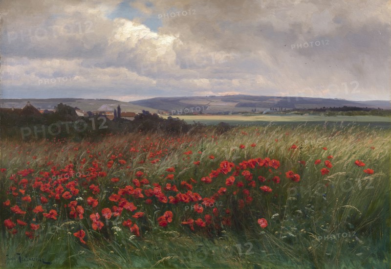 Poppies, 1909.