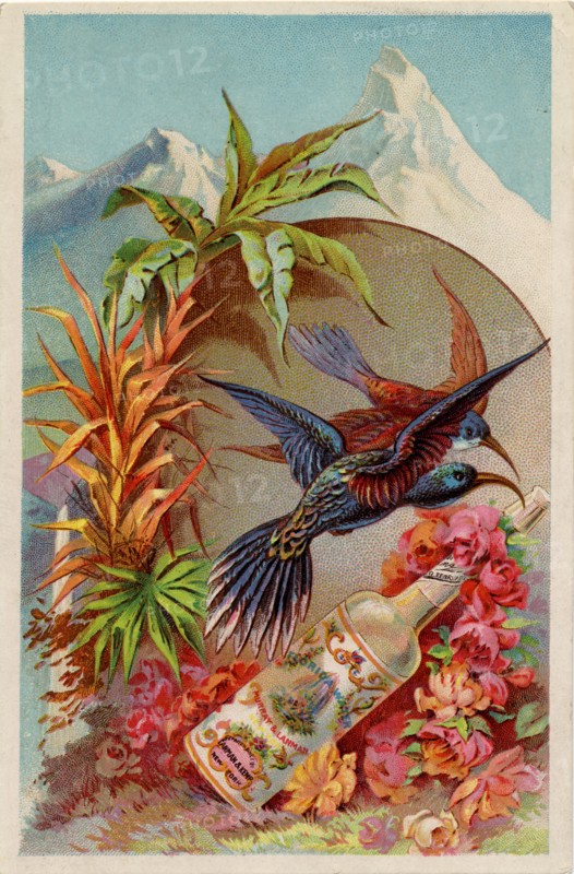 Murray & Lanman?s Florida Water, 19th century. Artist: Unknown