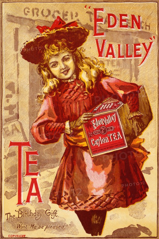 Eden Valley Tea, 19th century. Artist: Unknown