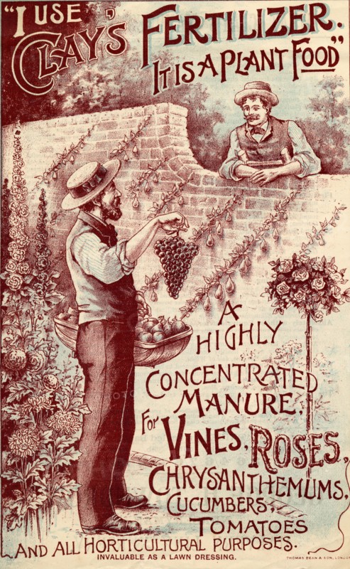 Clay's Fertilizer, c.1900. Artist: Unknown