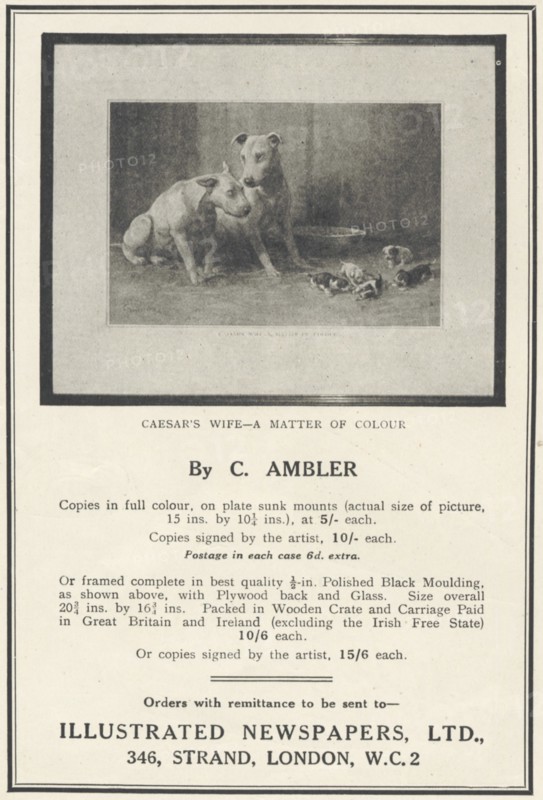 Illustrated Newspapers Framed Pictures, 1935. Artist: Unknown