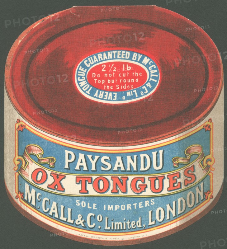 Paysandu ox tongue, 1890s. Artist: Unknown
