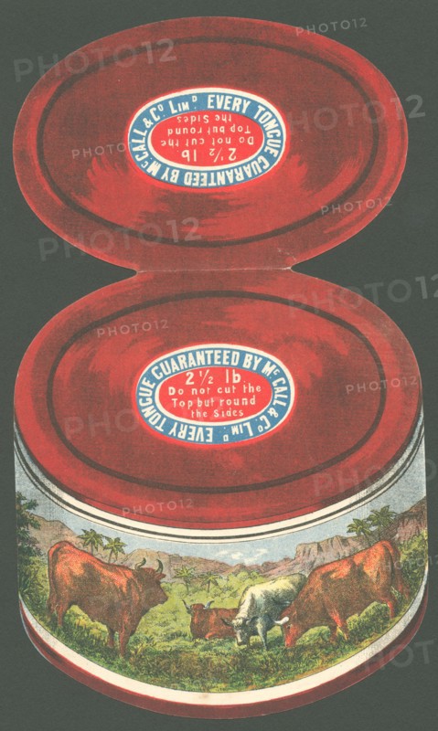 Paysandu ox tongue, 1890s. Artist: Unknown