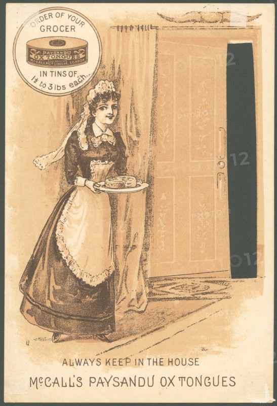 Paysandu ox tongue, 1890s. Artist: Unknown