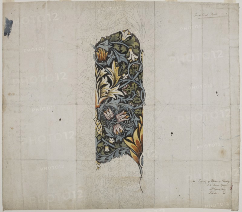 'Design for snakehead', 1876. Artist: William Morris.